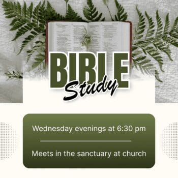Open Bible and ferns, Bible study flyer